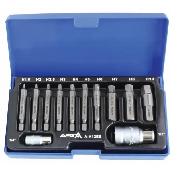 ASTA Innensechskant Linksausdreher Satz 12 tlg