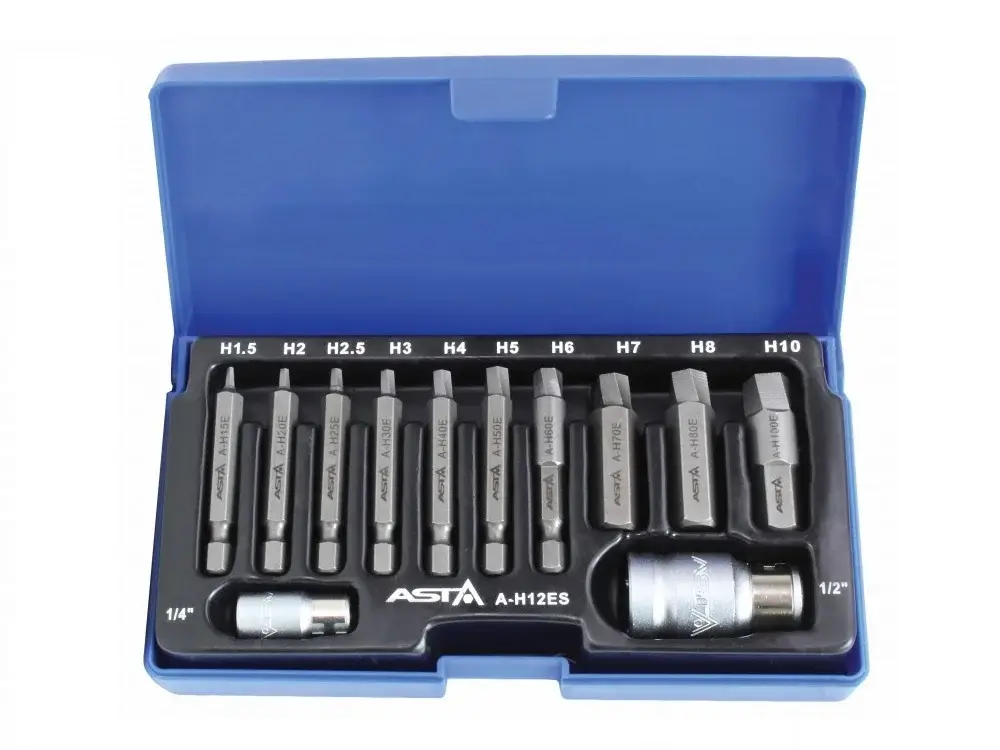 ASTA Innensechskant Linksausdreher Satz 12 tlg